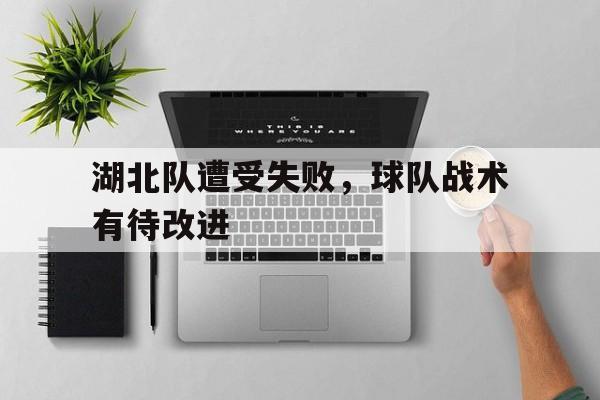 湖北队遭受失败，球队战术有待改进